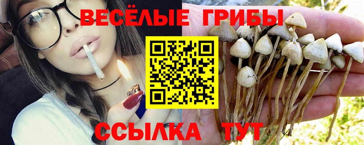 Тихорецк  Псилоцибиновые грибы ЛСД  Галлюциногенные грибы Psilocybine cubensis  Вход с VPN 